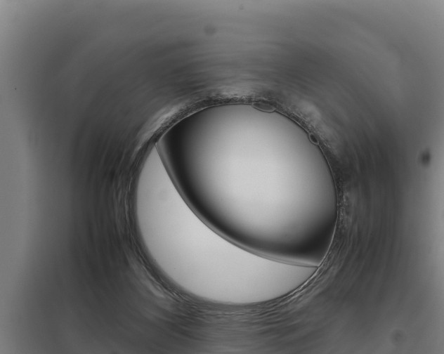 X0000098040116200803280803