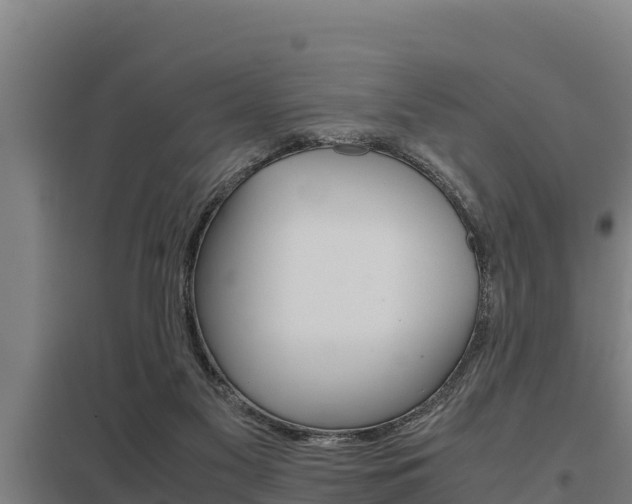 X0000098040117200803280803