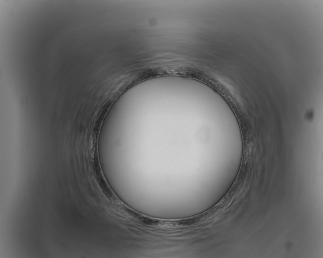 X0000098040121200803280803