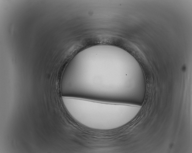 X0000098040123200803280803