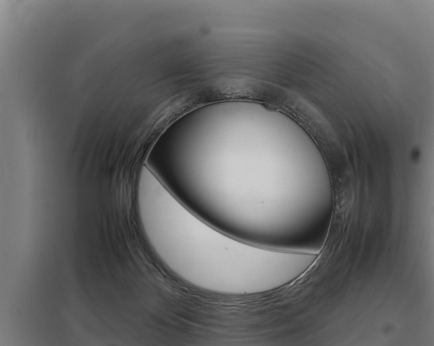 X0000098040124200803280803