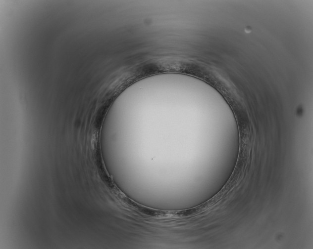 X0000098040125200803280803