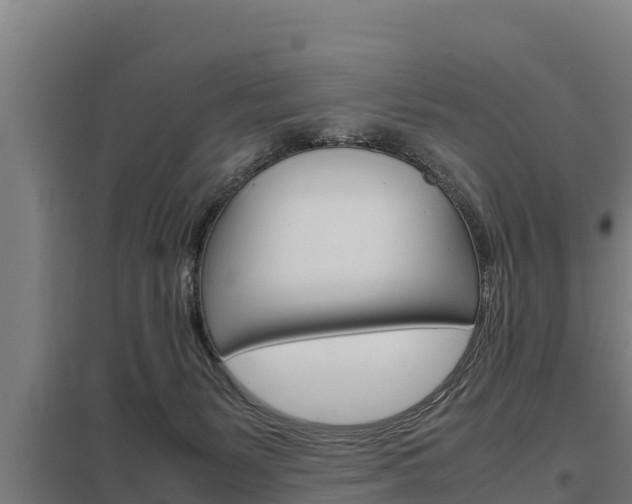 X0000098040127200803280803