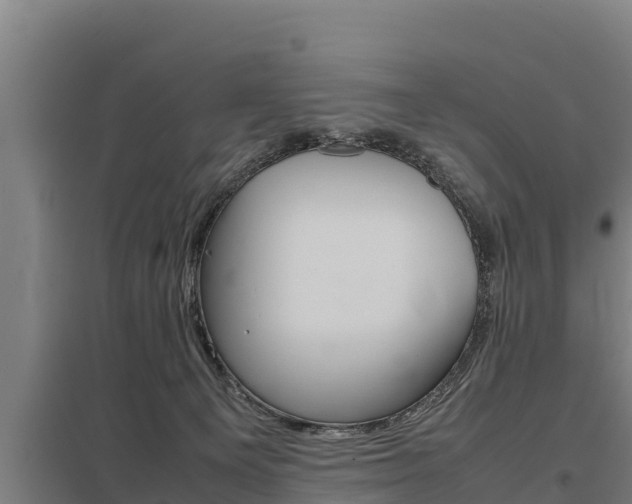 X0000098040129200803280803