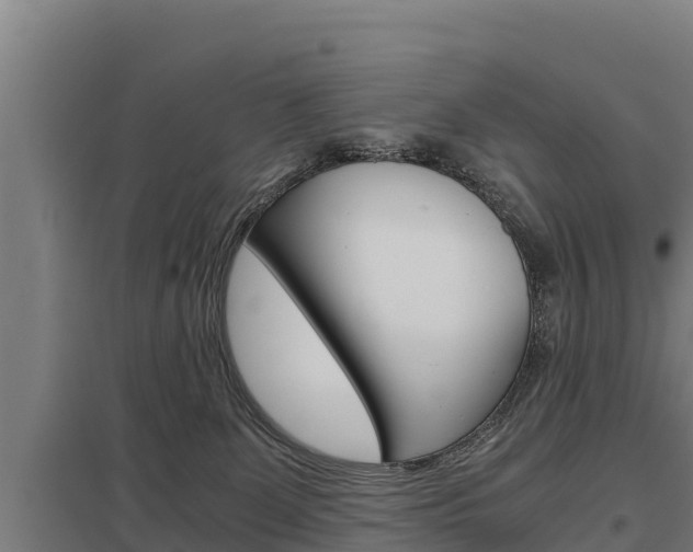 X0000098040131200803280803