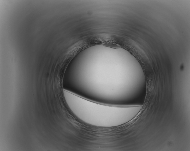 X0000098040132200803280803