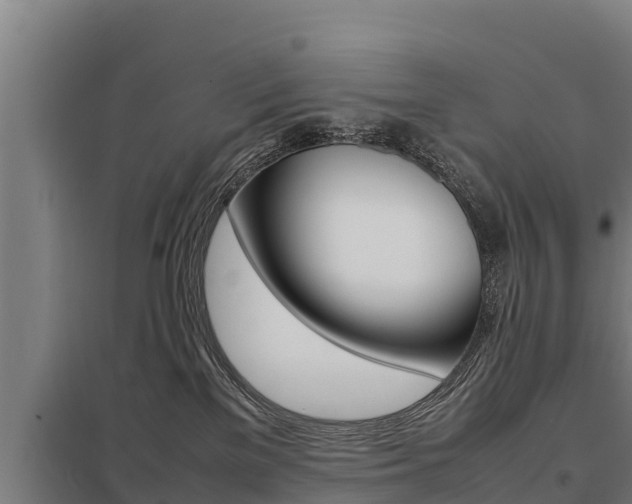 X0000098040137200803280803