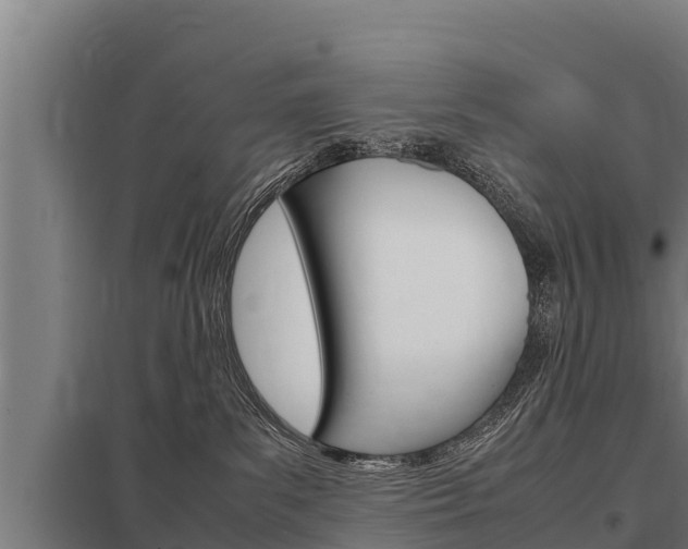 X0000098040139200803280803
