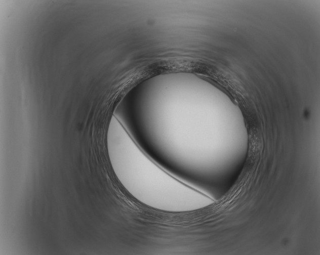 X0000098040141200803280803