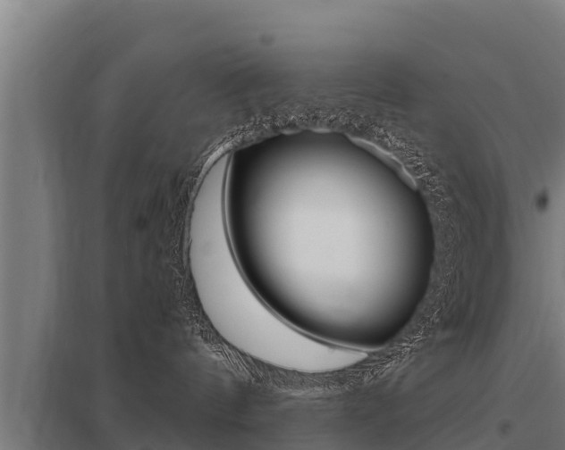 X0000098040144200803280802
