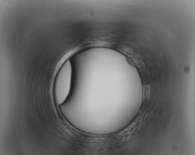 X0000098040147200803280802
