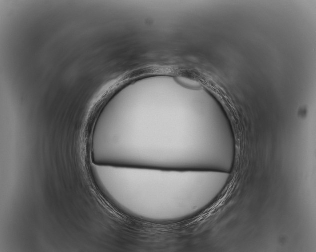 X0000098040149200803280802