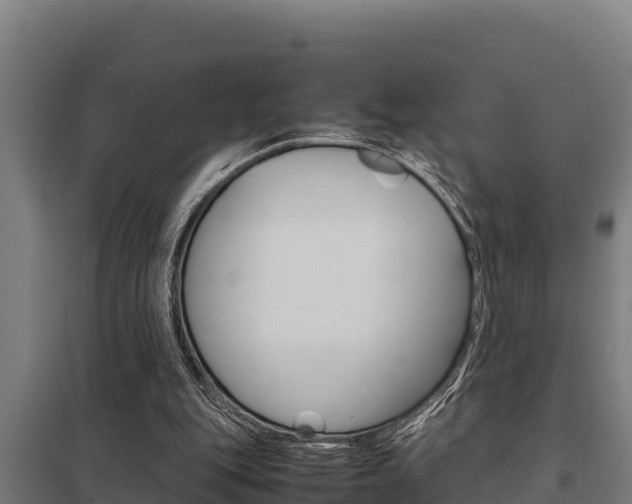 X0000098040151200803280802