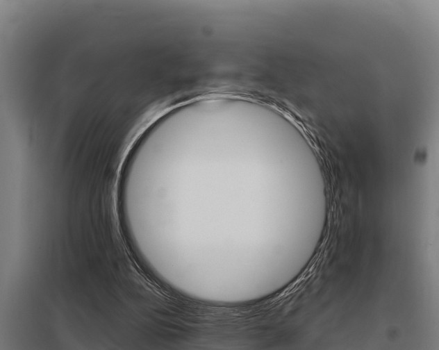 X0000098040152200803280802
