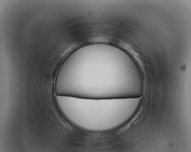 X0000098040153200803280802