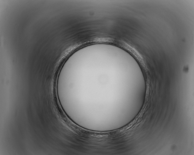 X0000098040155200803280802