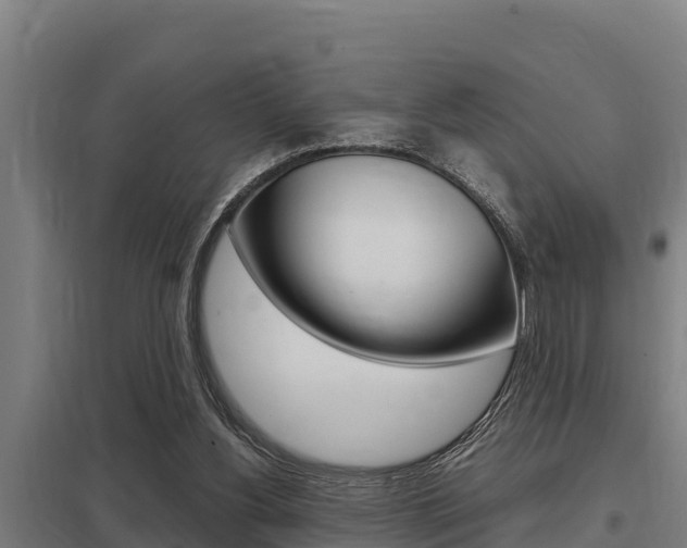 X0000098040156200803280802