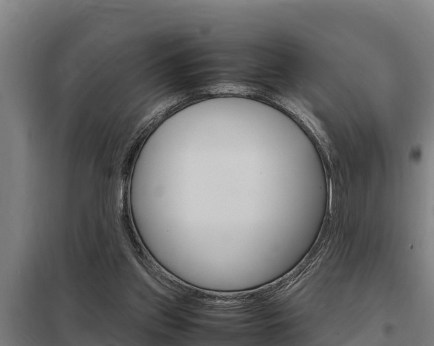 X0000098040157200803280802