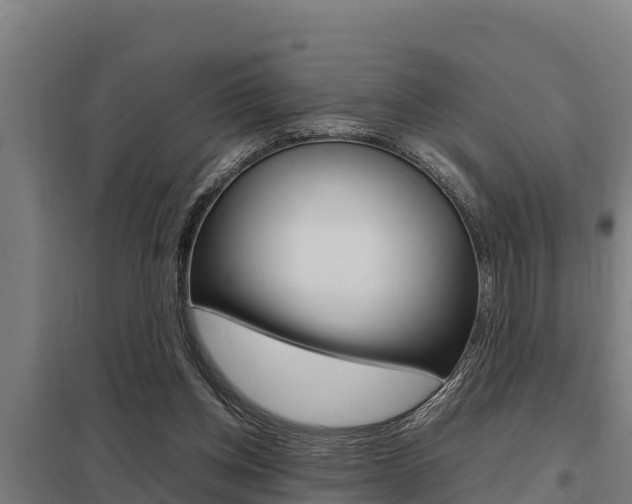 X0000098040158200803280802