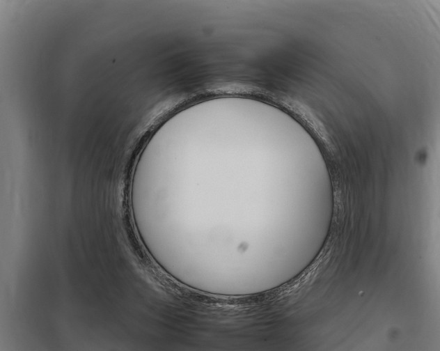 X0000098040159200803280802