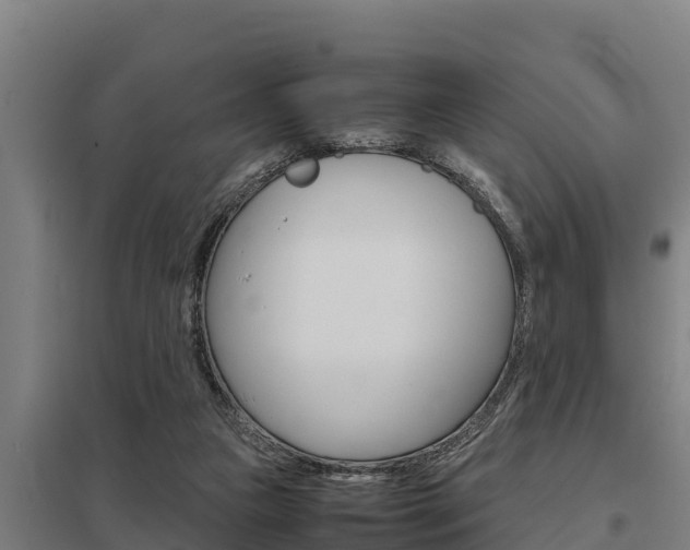 X0000098040161200803280802