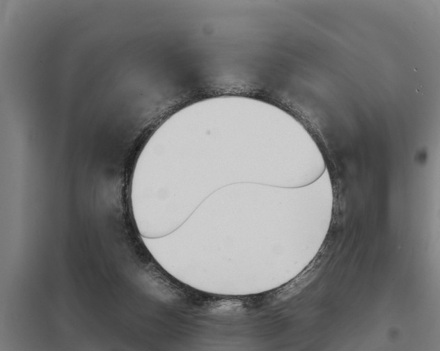 X0000098040162200803280802