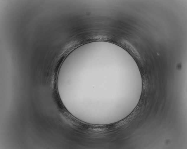 X0000098040163200803280802