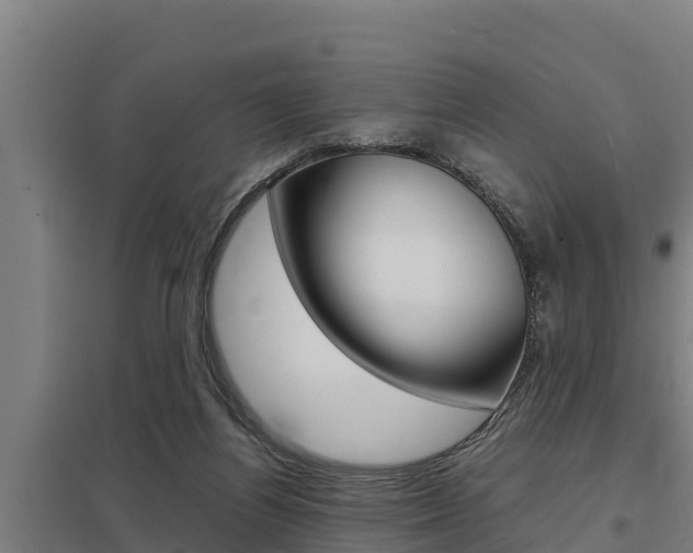 X0000098040164200803280802