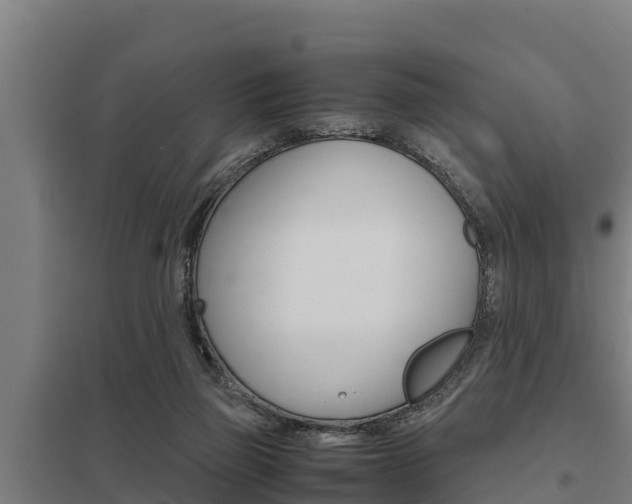 X0000098040165200803280802