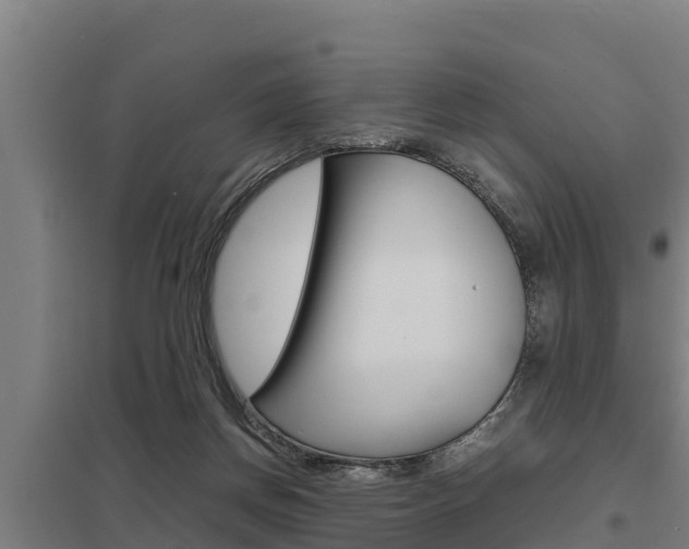 X0000098040166200803280802