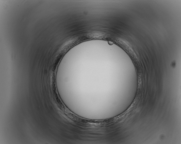 X0000098040167200803280802