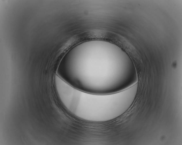 X0000098040168200803280802
