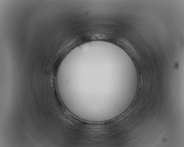 X0000098040169200803280802