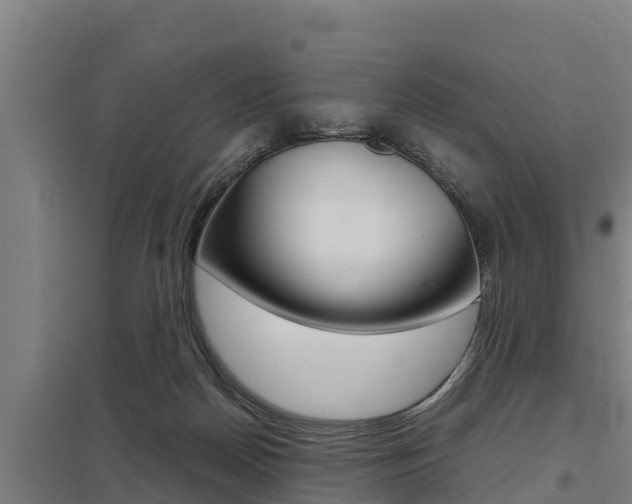 X0000098040170200803280802