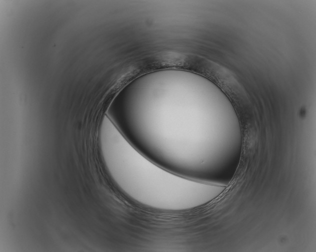 X0000098040172200803280802