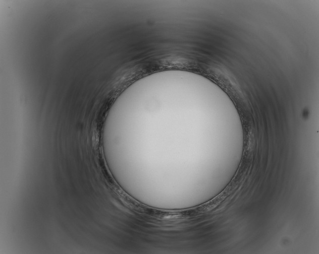 X0000098040173200803280802
