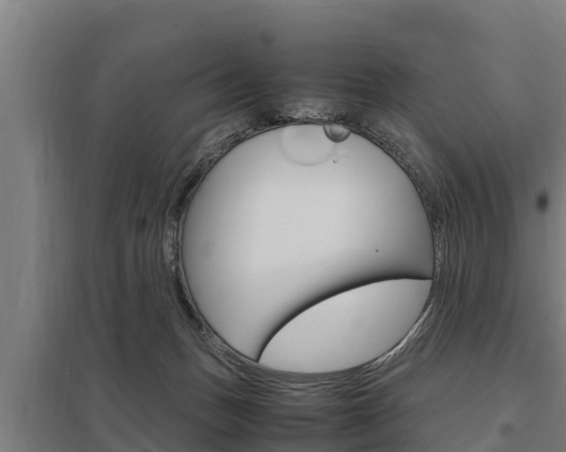 X0000098040175200803280802