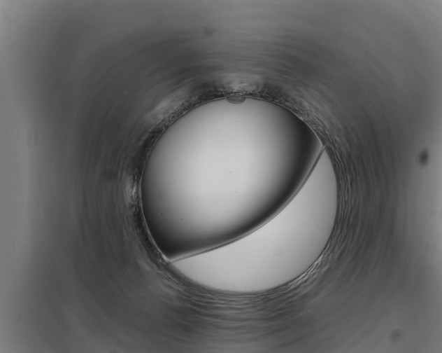 X0000098040176200803280802