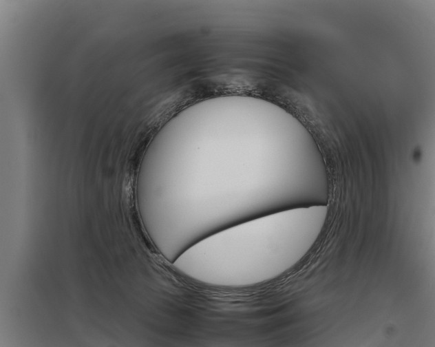X0000098040177200803280802