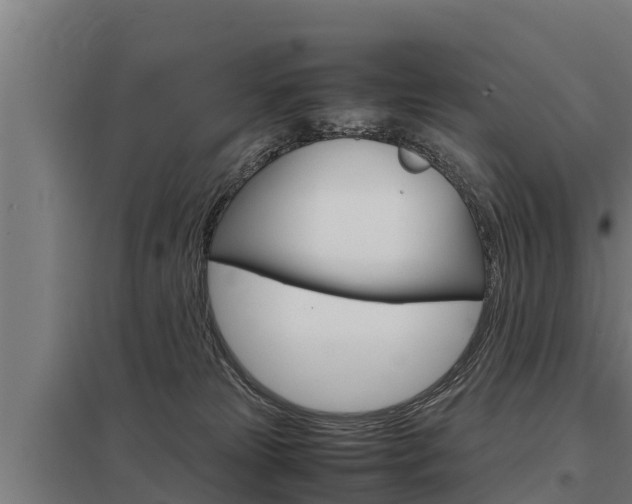 X0000098040181200803280802