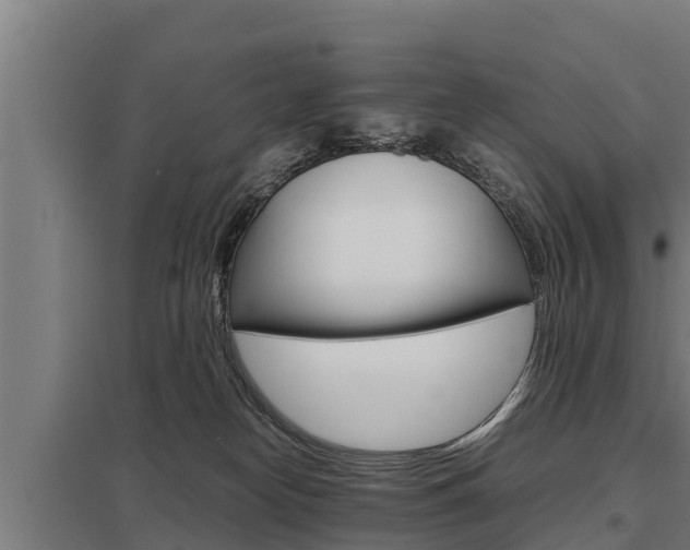 X0000098040182200803280802
