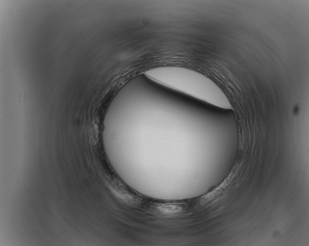 X0000098040183200803280802