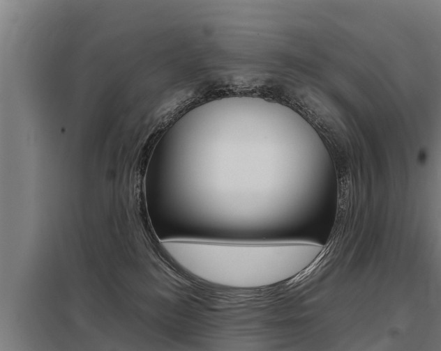X0000098040184200803280802