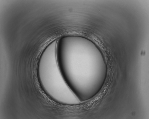 X0000098040193200803280802