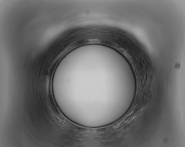 X0000098040194200803280802