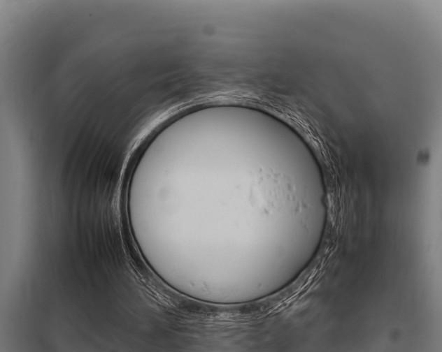 X0000098040196200803280802