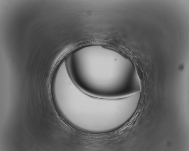 X0000098040197200803280802