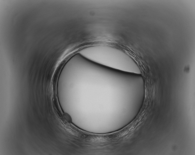 X0000098040198200803280802
