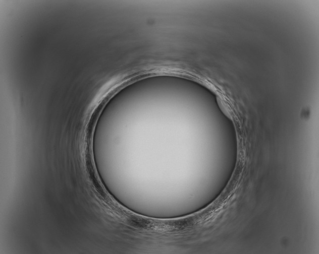 X0000098040199200803280802