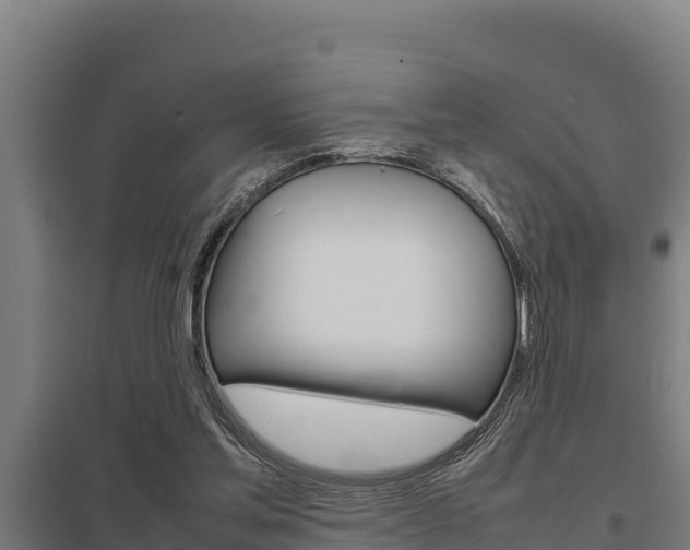 X0000098040205200803280802